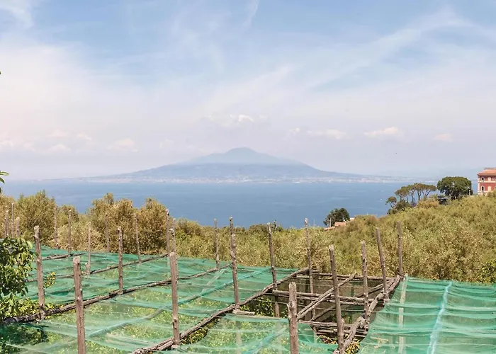 Hébergement de vacances La Limonaia *