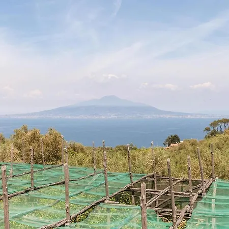 펜션 La Limonaia *